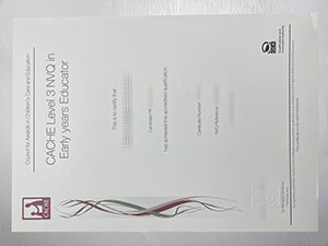 Obtain CACHE Level 3 NVQ certificate online