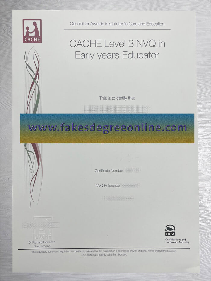 CACHE Level 3 NVQ certificate, CACHE Level 3 NVQ diploma