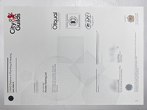 Make 2 NVQ Diploma in Plumbing & Heating certificate