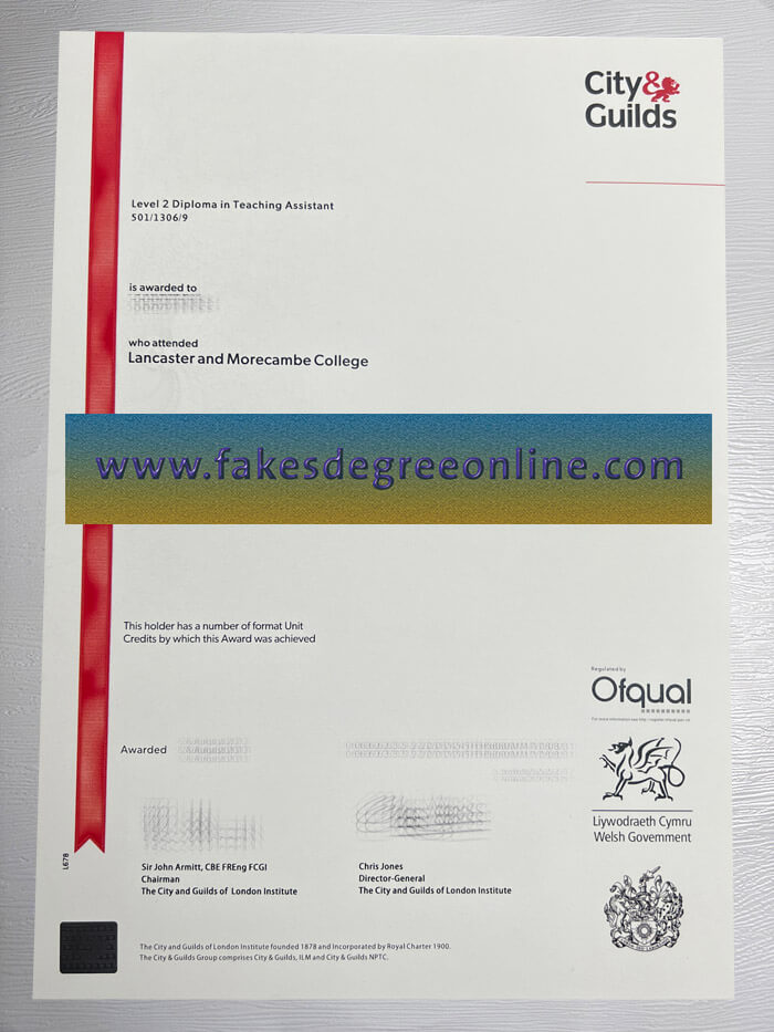 Make a Level 2 Diploma in Teaching Assistant diploma