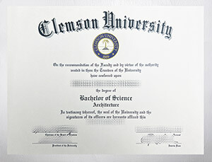 Obtain a Clemson University diploma online