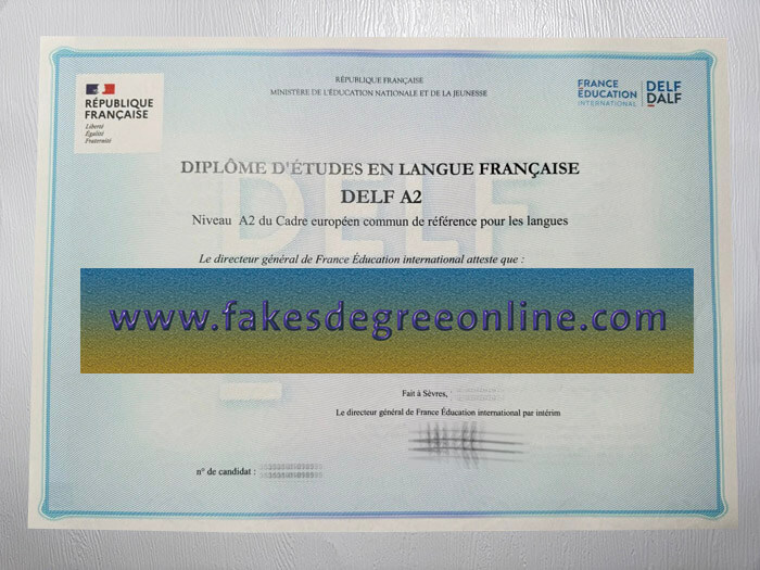 Obtain a DELF A2 certificate online