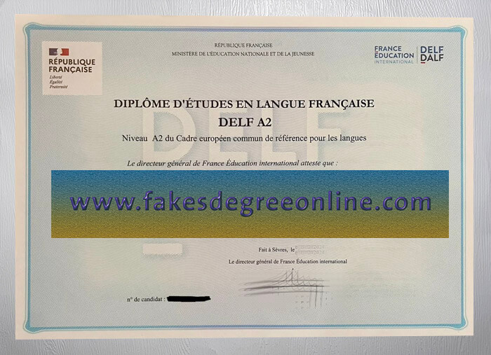 Obtain a DELF A2 certificate online