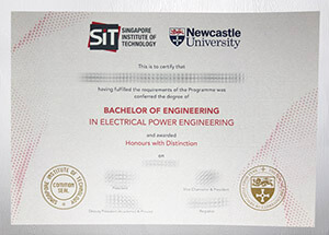 Get a Newcastle University diploma online
