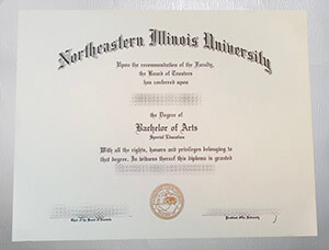 Obtain a Northeastern Illinois University diploma online