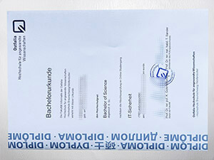 Obtain Ostfalia Hochschule für angewandte Wissenschaften diploma online