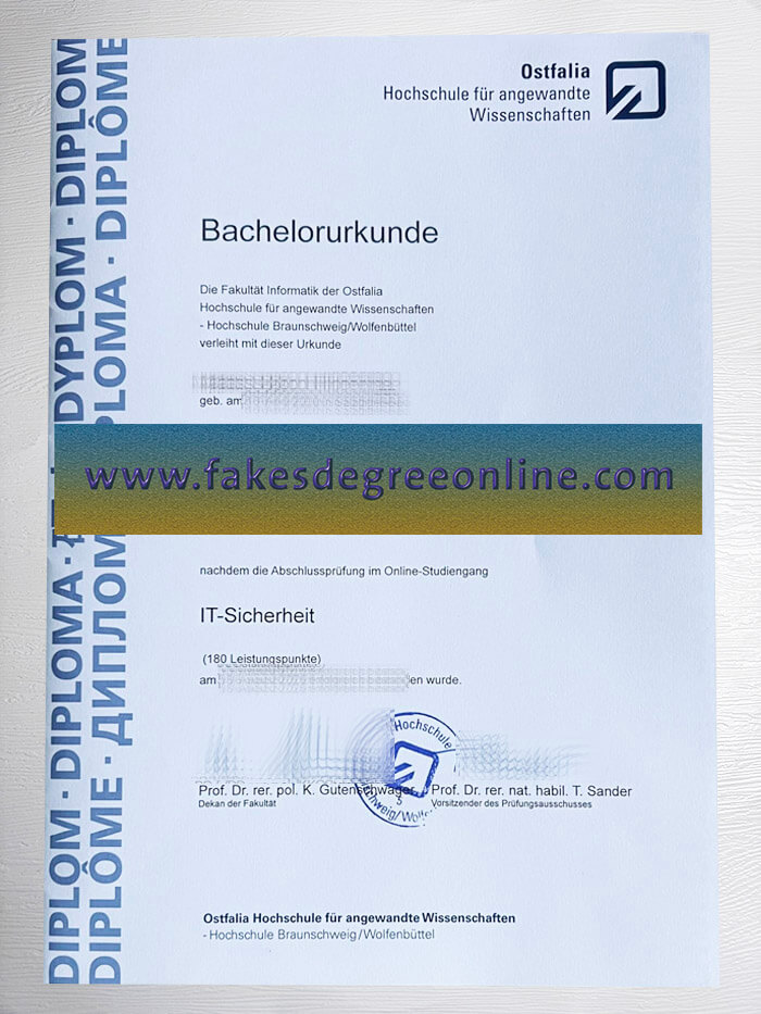 Get Ostfalia Hochschule für angewandte Wissenschaften diploma